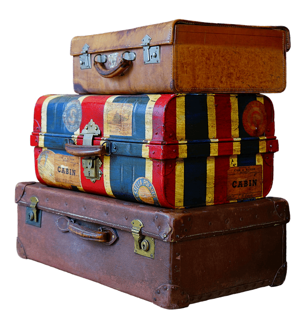 Designer luxury suitcases